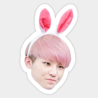 Woozi Bunny | Seventeen Sticker